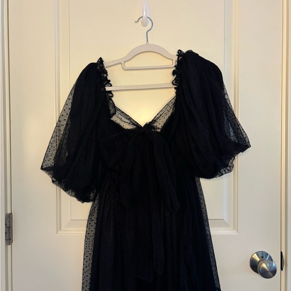 Windsor Black Polka Dot Sheer Dress - Picture 11 of 12